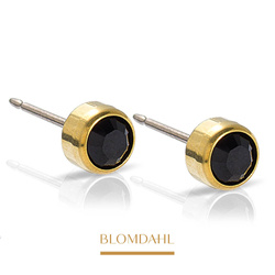 Bezel Black 4 mm earrings SFJ gold medical titanium