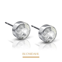 Bezel Crystal 5 mm SFJ silver titanium medical earrings