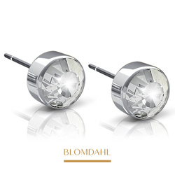 Bezel Crystal 6 mm SFJ silver titanium medical earrings