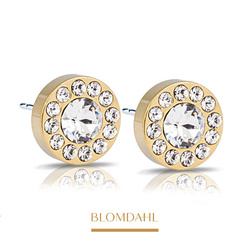 Brilliance Halo Crystal 6 mm SFJ gold titanium medical earrings