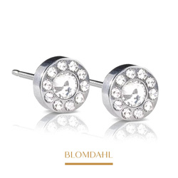 Brilliance Halo Crystal 6 mm SFJ silver titanium medical earrings