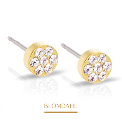 Brilliance Plenary Crystal 5 mm earrings SFJ gold medical titanium