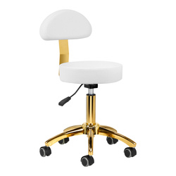Cosmetic stool am-304g gold white