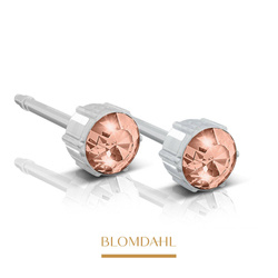 Pastel Light Rose 4 mm earrings SFJ medical plastic