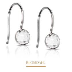 Pendant Bezel Crystal 5 mm earrings SFJ natural medical titanium