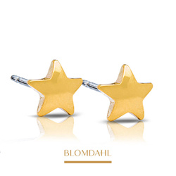 Star 5 mm earrings SFJ gold medical titanium