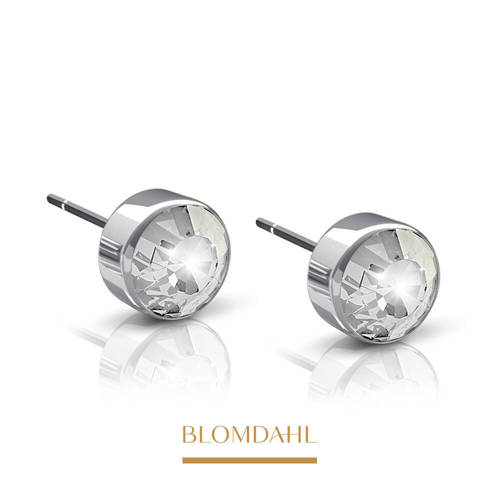 Bezel Crystal 4 mm SFJ silver titanium medical earrings