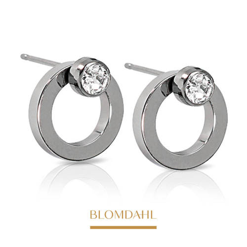 Brilliance Hollow Crystal 10/4 mm earrings SFJ natural medical titanium