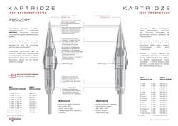 BIOEVOLUTION permanent makeup cartridge SECURE acupuncture or traditional