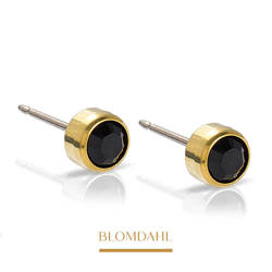 Bezel Black 3 mm earrings SFJ gold medical titanium