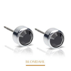 Bezel Black 4 mm SFJ silver titanium medical earrings