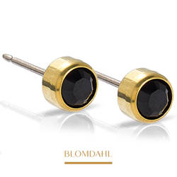 Bezel Black 5 mm earrings SFJ gold medical titanium