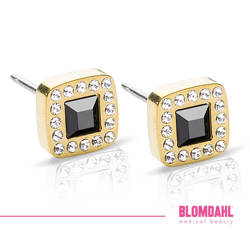 Brilliance Cushion Crystal/ Black 8 mm SFJ gold titanium medical earrings