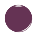 Kiara sky dip powder - d445 grape your attention