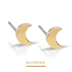 Moon 6 mm earrings SFJ gold medical titanium