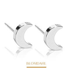 Moon 8 mm earrings SFJ natural medical titanium