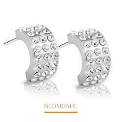 Pendant Grand Brilliance Curved Crystal 10 mm earrings SFJ natural medical titanium