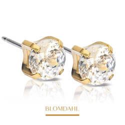 Tiffany CZ Warm Shimmer 7 mm SFJ hypoallergenic earrings gold medical titanium