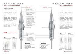 BIOEVOLUTION permanent makeup cartridge SECURE acupuncture or traditional