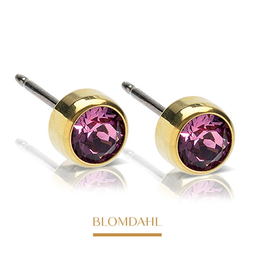 Lilac 5 mm earrings SFJ gold medical titanium