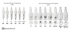 Kartridż do Dermapen Stamp Pen MyM, DR PEN N2, N4, M5, M7 rodzaje do wyboru