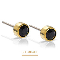 Bezel Black 4 mm earrings SFJ gold medical titanium