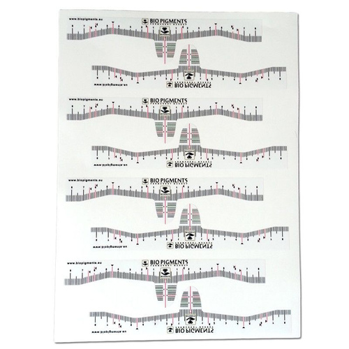 Self-adhesive profile eyebrow measures with nosepiece