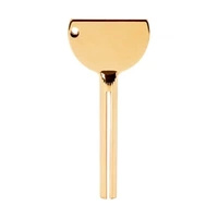 Gold paint squeeze key