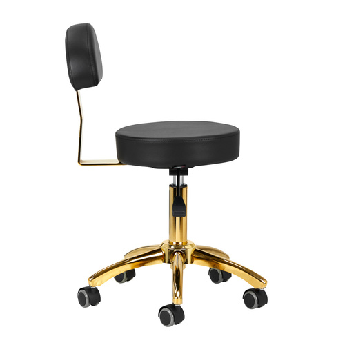 Cosmetic stool am-304g gold black