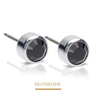 Bezel Black 5 mm earrings SFJ silver medical titanium