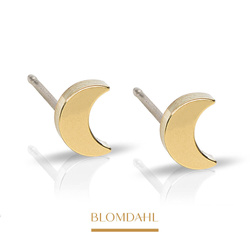 Moon 6 mm earrings SFJ gold medical titanium