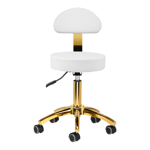 Cosmetic stool am-304g gold white