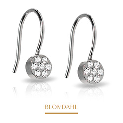 Pendant Brilliance Plenary Crystal 5 mm earrings SFJ natural medical titanium