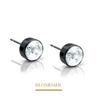 Bezel Crystal 4 mm earrings SFJ black medical titanium