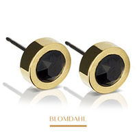 Hypoallergenic earrings Grand Bezel Black 8 mm SFJ gold medical titanium