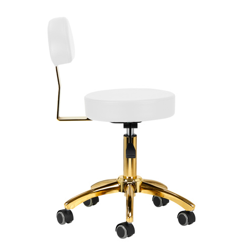 Cosmetic stool am-304g gold white