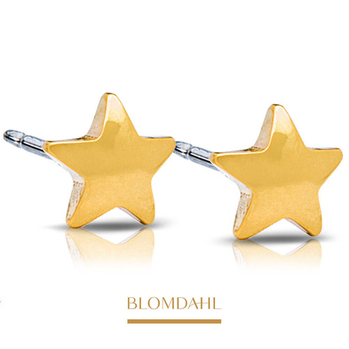 Star 8 mm earrings SFJ gold medical titanium